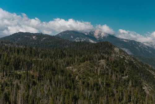 Breathtaking aerial view of lush forest and distant mountains under a clear blue sky.